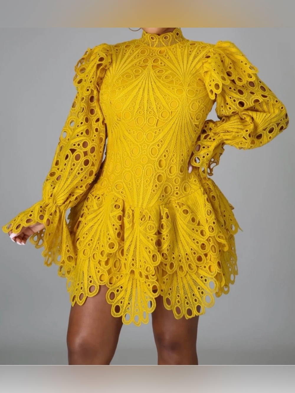 ⭐️NWT The Sang Eyelet Ruffled Dress⭐️